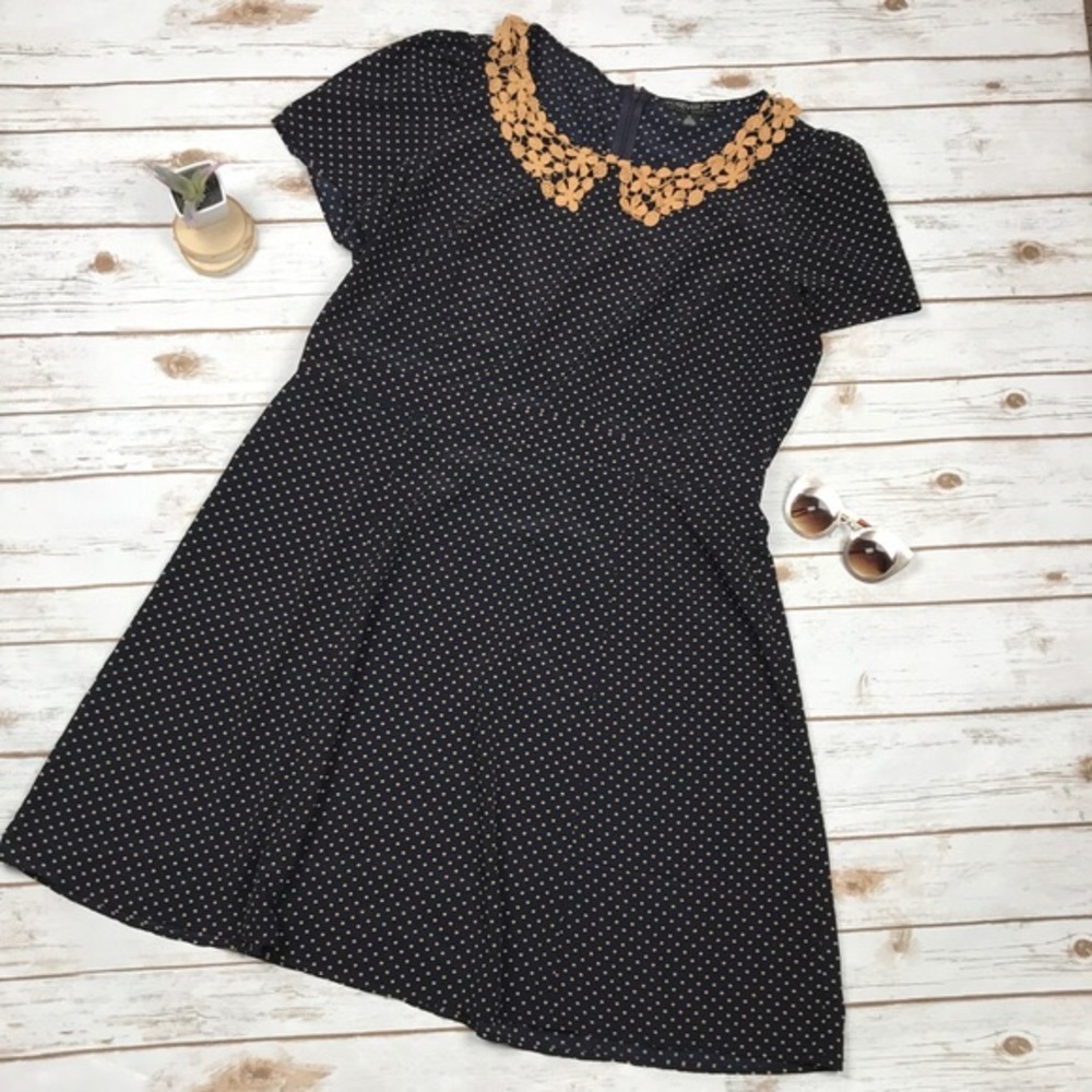 ModCloth Dress: Black/Cream with Peter Pan Collar